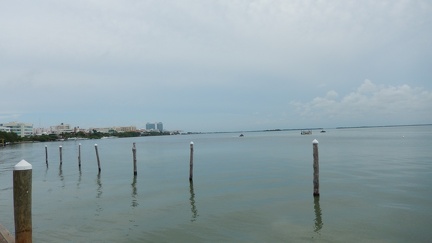 DSCN5298