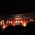 DSCN4618