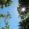 DSCN6175