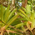 DSCN6176