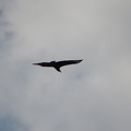 DSCN6190