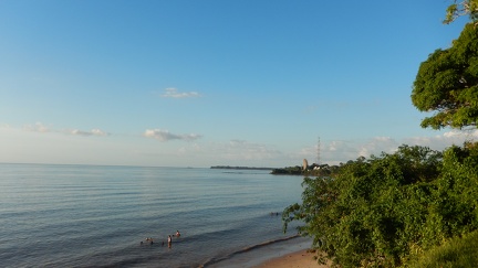 DSCN6239