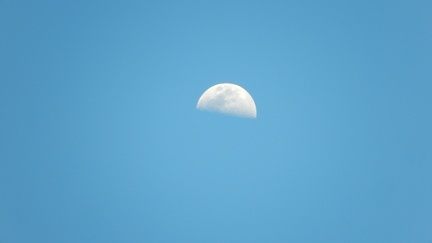 DSCN6244